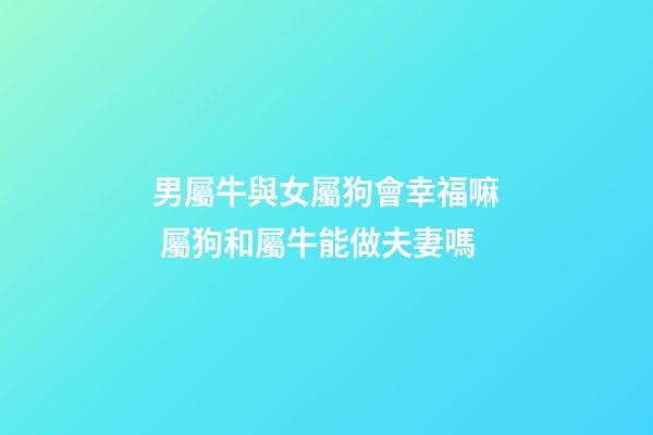 男屬牛與女屬狗會幸福嘛 屬狗和屬牛能做夫妻嗎